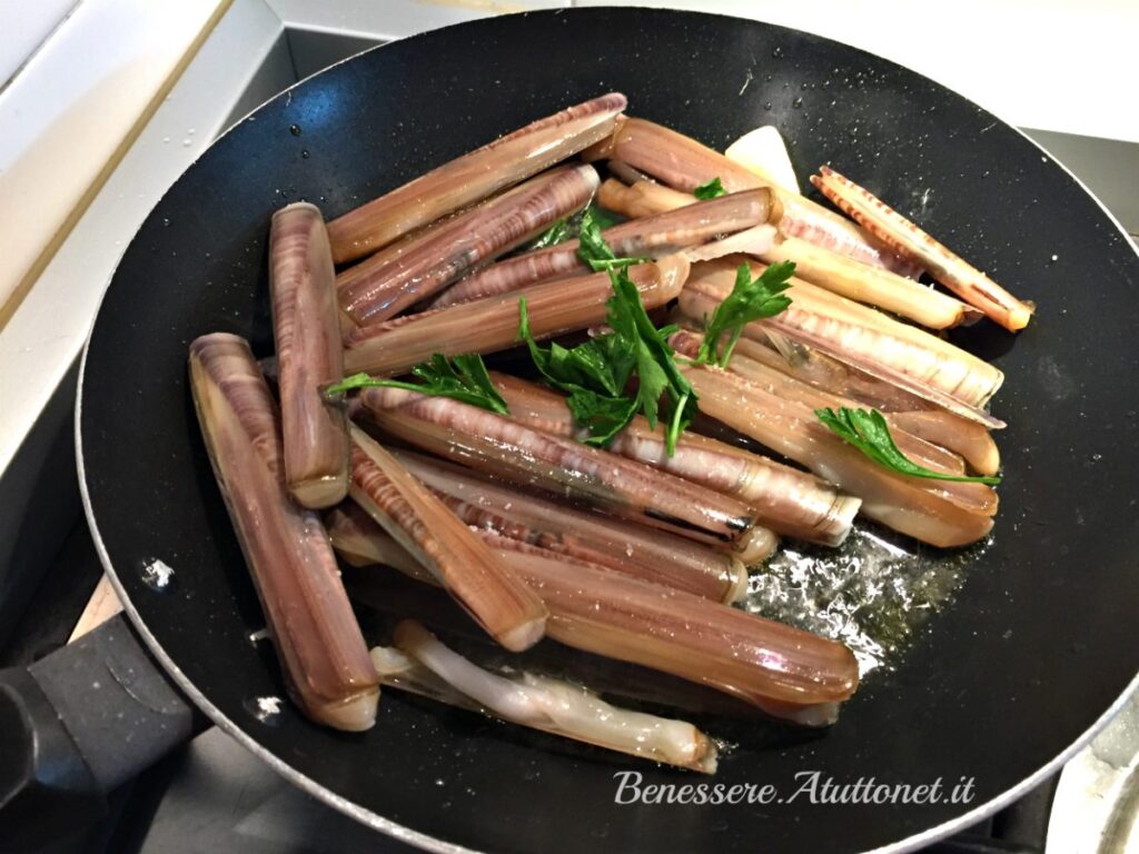 Galleria foto 'Soutè di Cannolicchi' - foto 4