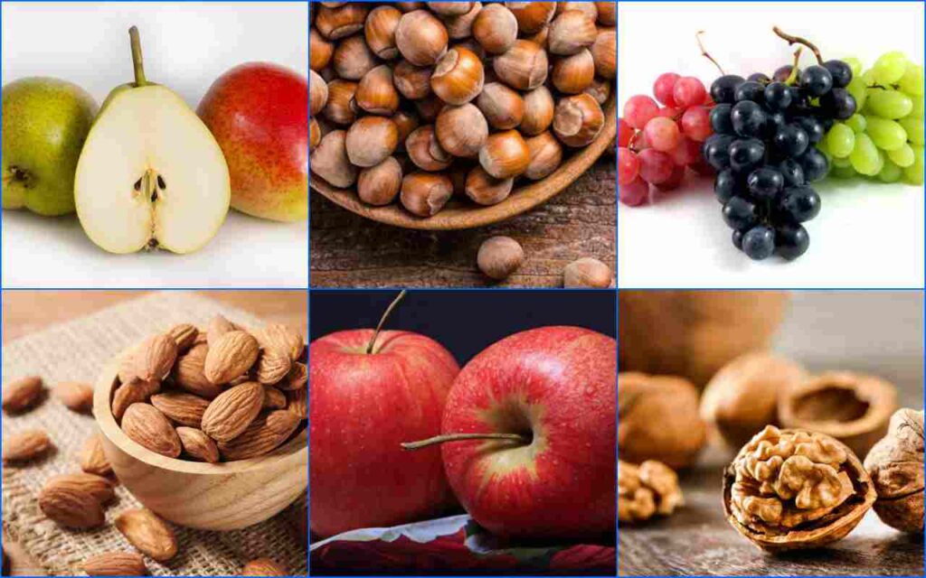 Galleria foto 'Fregnaccia' - foto 2