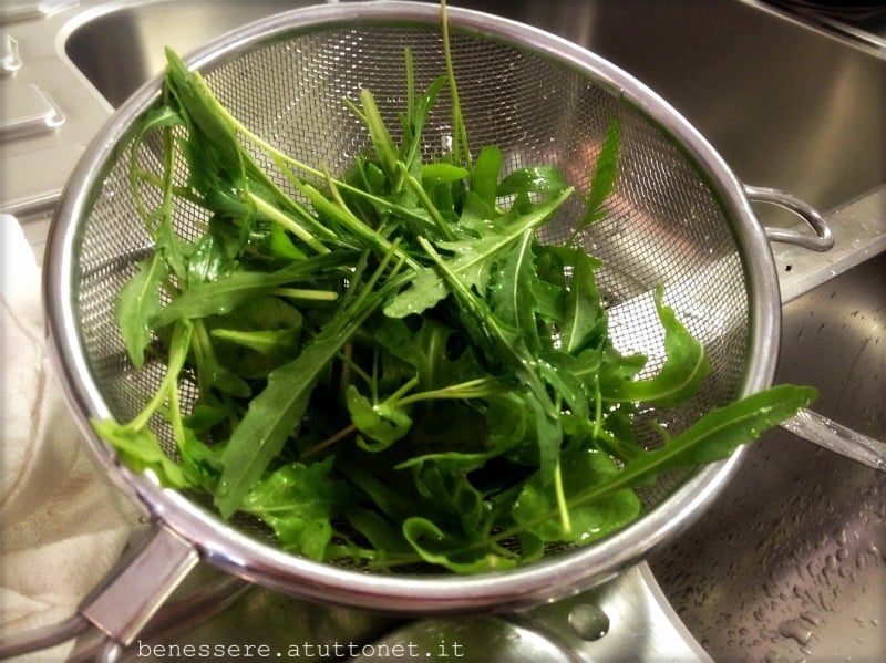 rucola