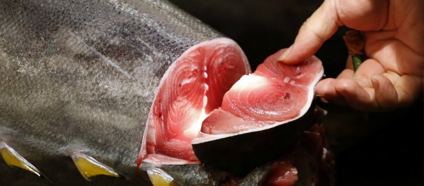 Quale pesce mangiare in gravidanza