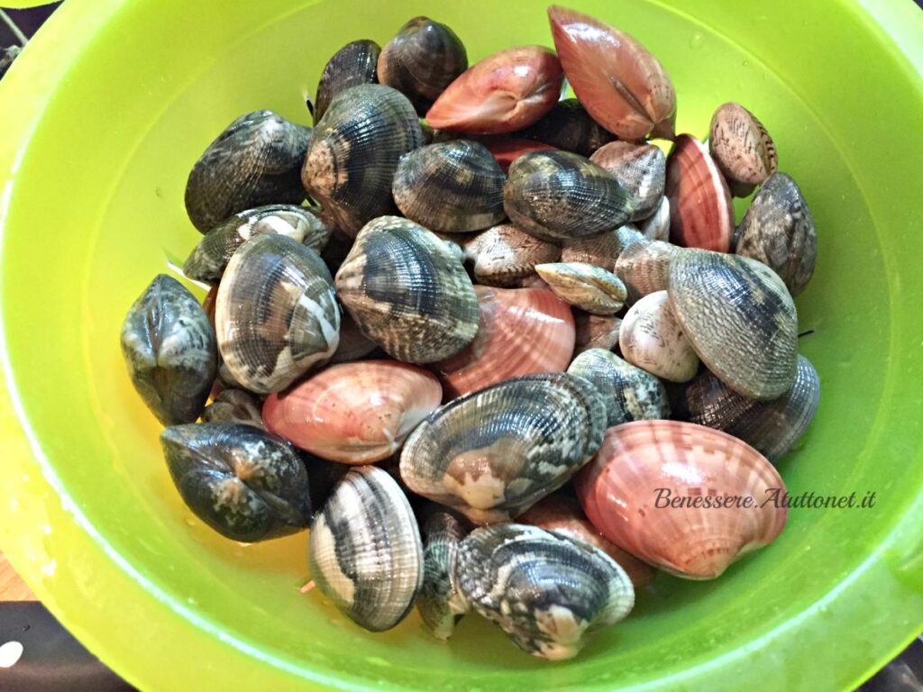 Galleria foto 'Paccheri ai frutti di mare' - foto 2