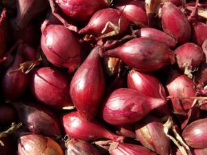 red shallots, shallots, shallot