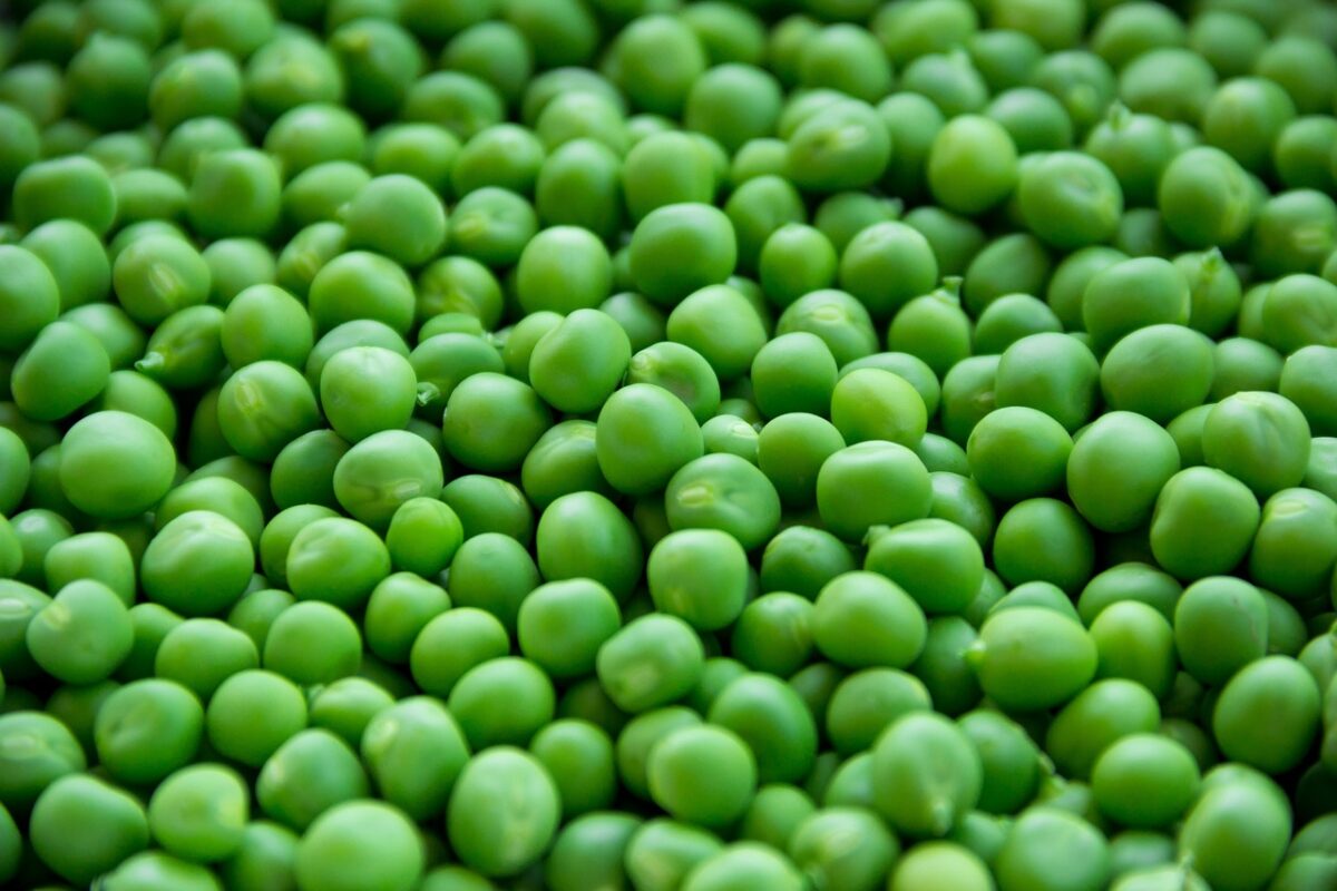 Pasta e Piselli