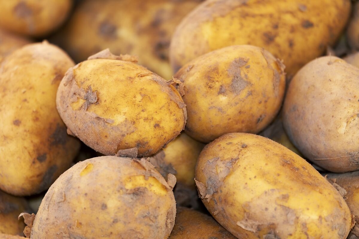 Patata al Forno (Mangiate senza Buccia)