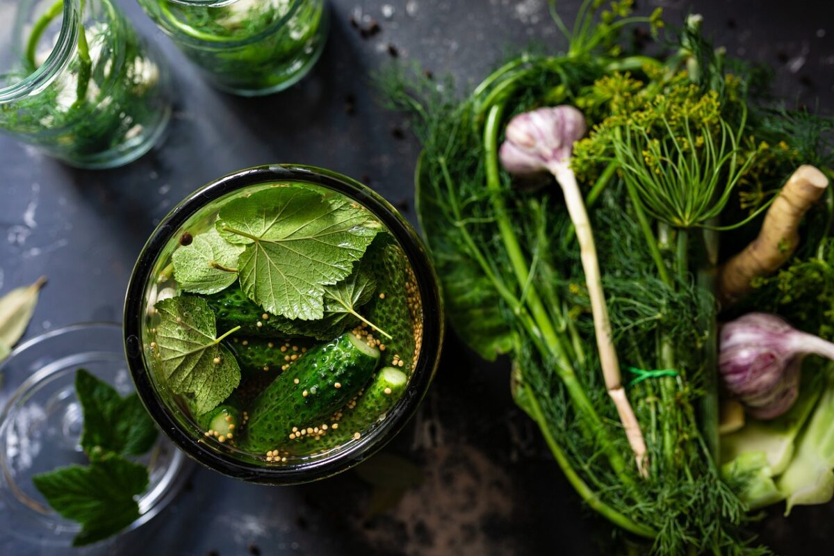 Cetriolo Sott’aceto Aromatizzato All’ Aneto (Basso Contenuto di Sodio)