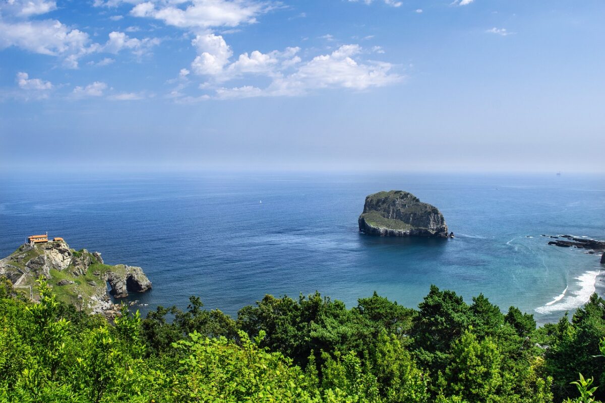 Lumache di Mare