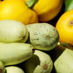Polpette di Zucchine
