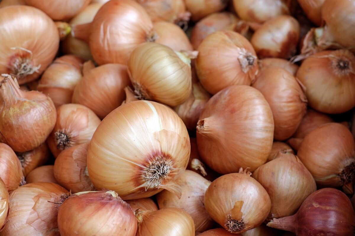 Zuppa di Cipolle