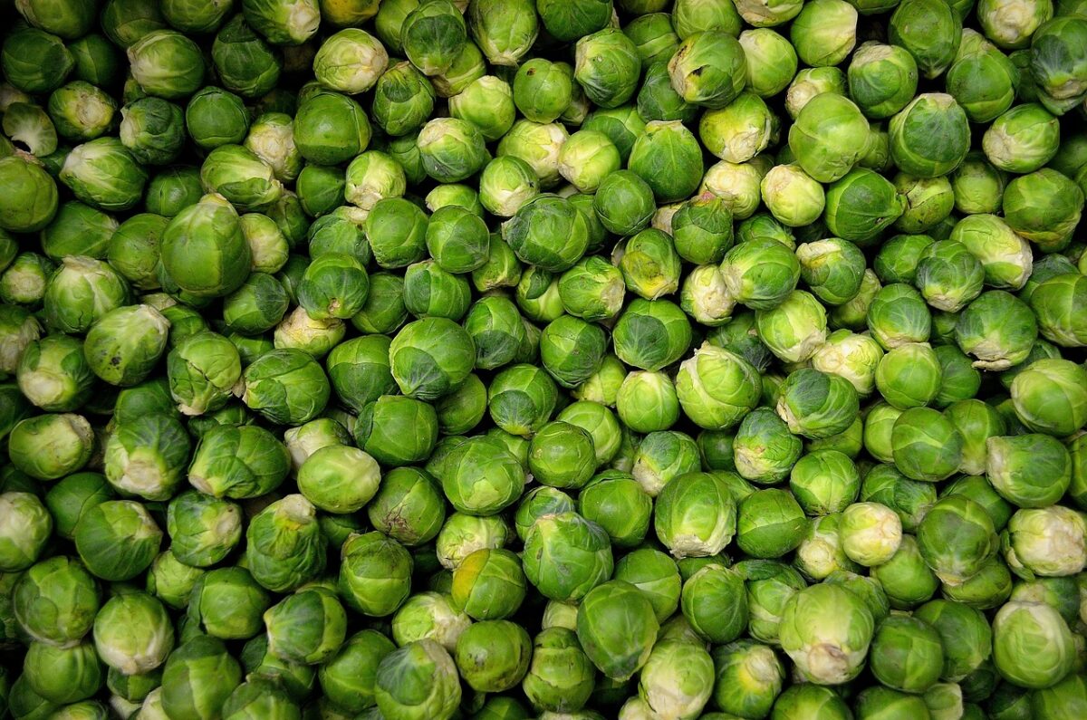 Germogli di Bambù (Sgocciolati, in Scatola)