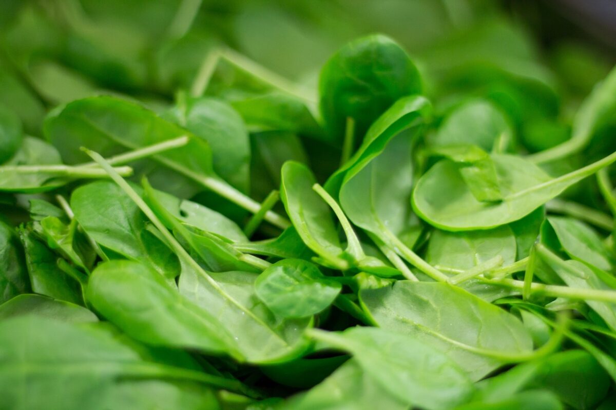 Spinaci (in Foglia o Tagliati, Surgelati)
