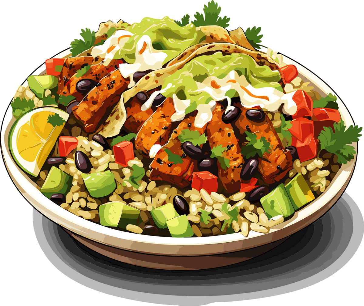 Burrito con Carne di Pollo