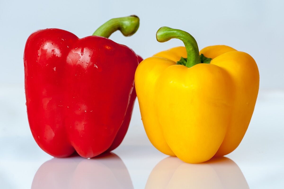 Peperoni Jalapeno (Solidi e Liquidi, in Scatola)