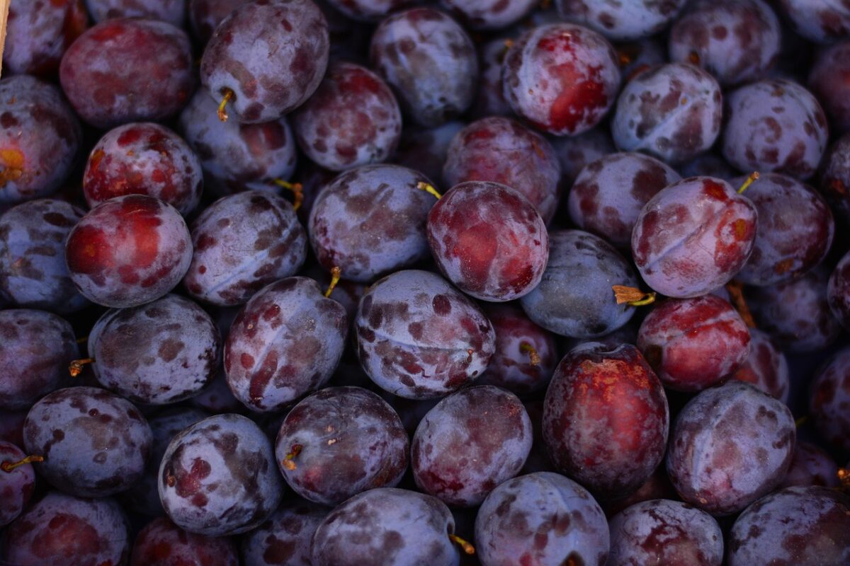 Succo di Prugne