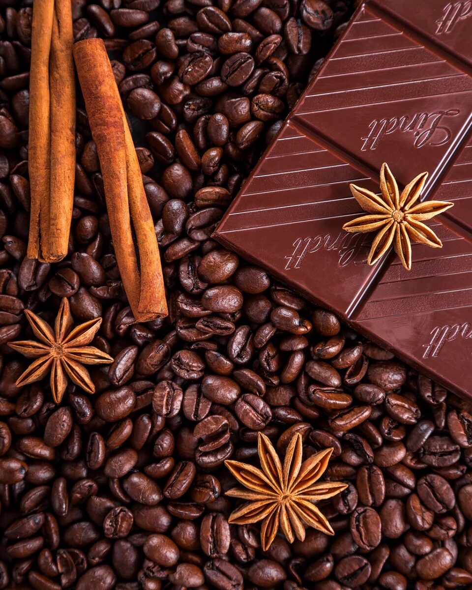 Budini al Cioccolato (senza Grassi)