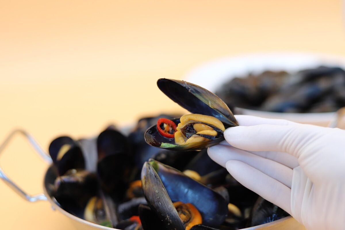 Vongole Cotte al Vapore o Bollite