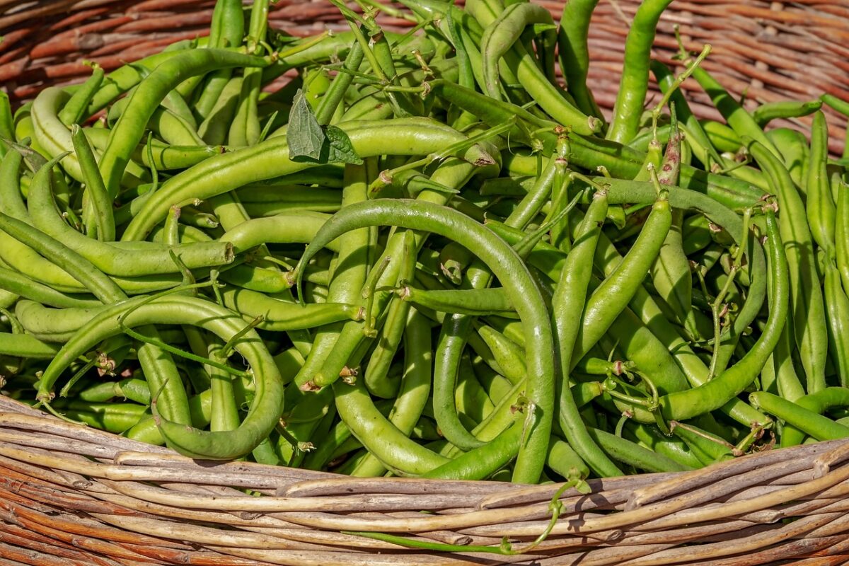Fagiolini Verdi a Basso Contenuto di Sodio (in Scatola)