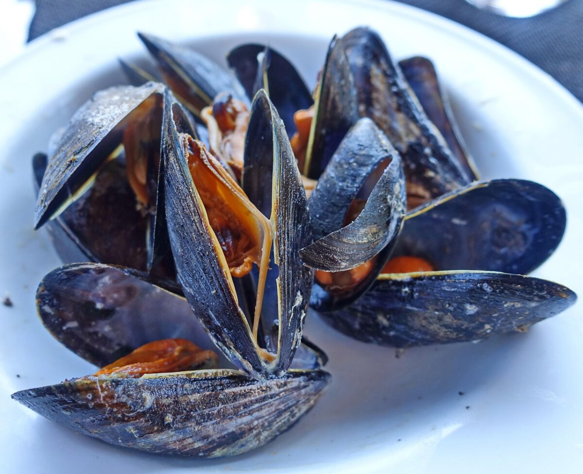 Cozze Cotte al Vapore o Bollite