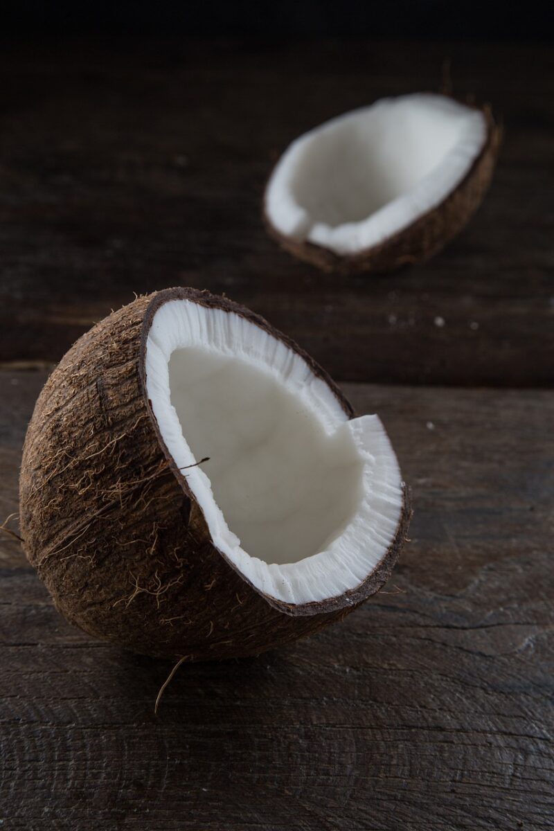 Noce di Cocco