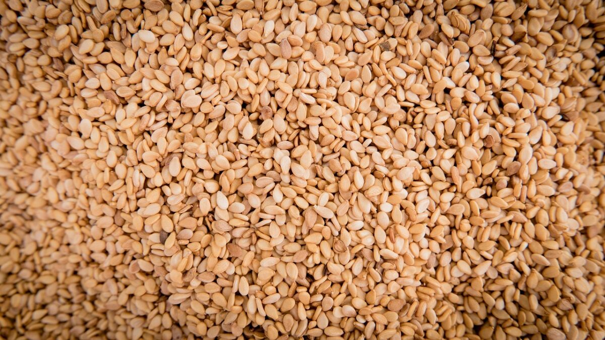 Semi Essiccati di Sesamo Intero