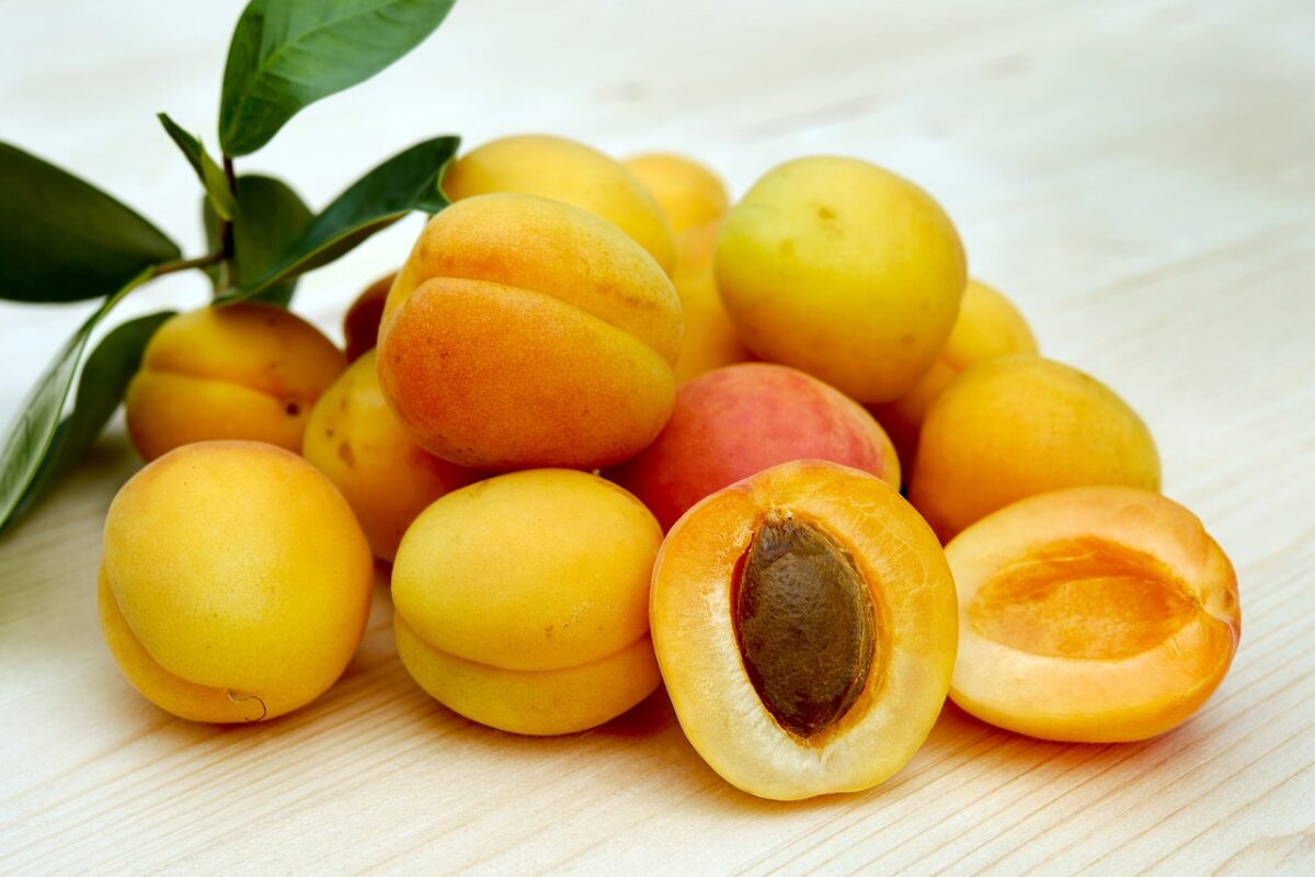 Marmellate e Conserve di Albicocche