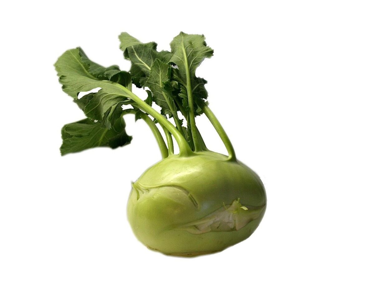 Kohlrabi (Rapa o Cavolo)