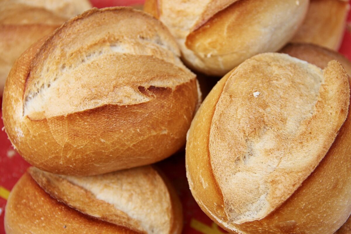 Panini Integrali