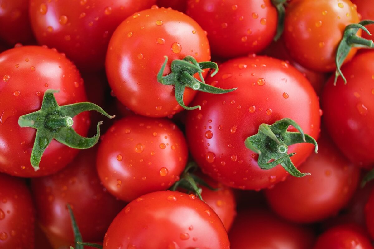 Pomodori Datterini