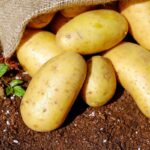 Patate Hash Brown