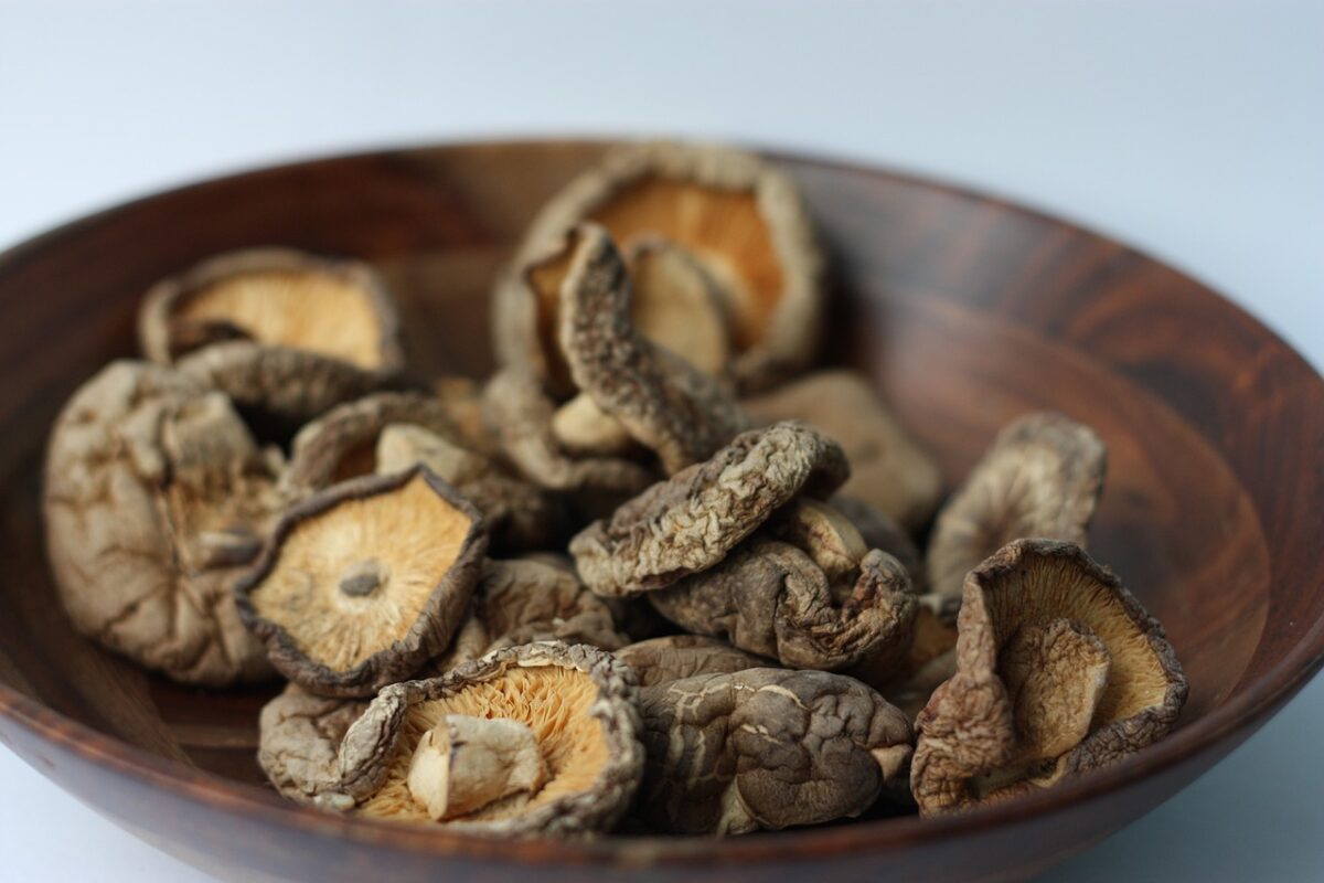 Funghi Shitake Secchi