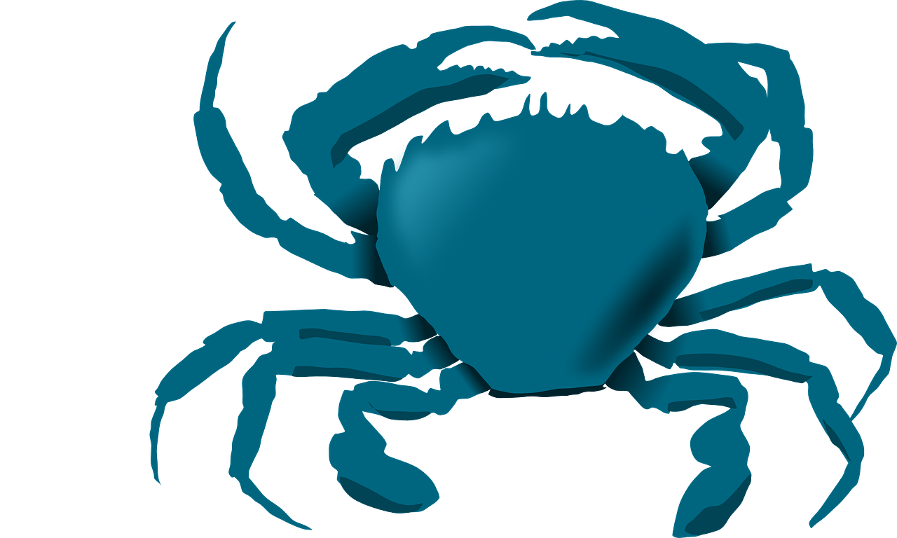 Granchio Blu