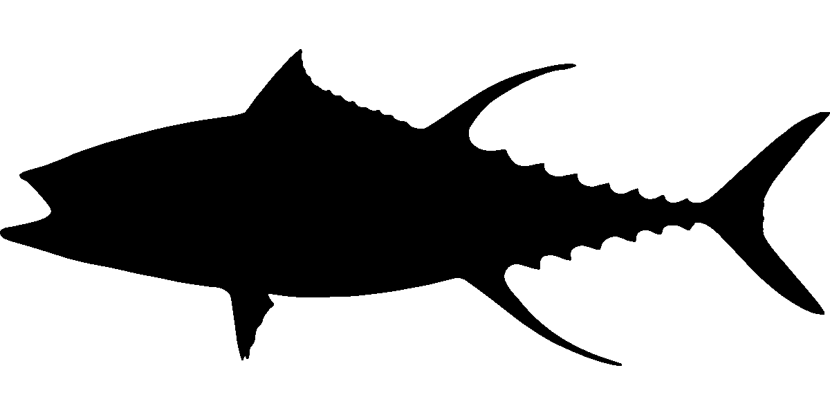 Tonno Bianco (Sgocciolate dall’acqua, in Scatola)