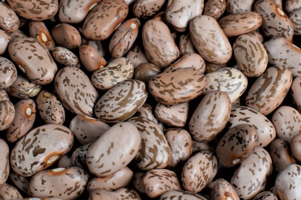 Fagioli Borlotti (Semi Maturi, in Scatola)