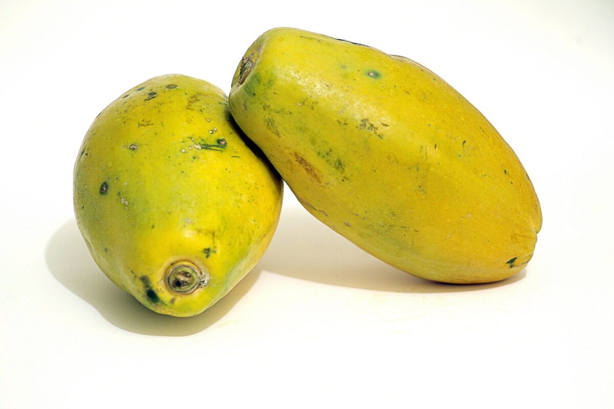 Papaya