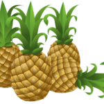 Ananas Essiccato