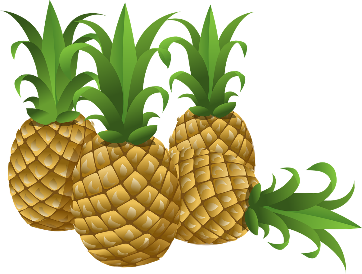 Ananas Essiccato