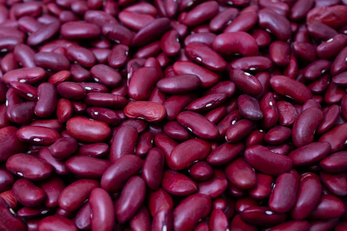 Fagioli Rossi (in Scatola)