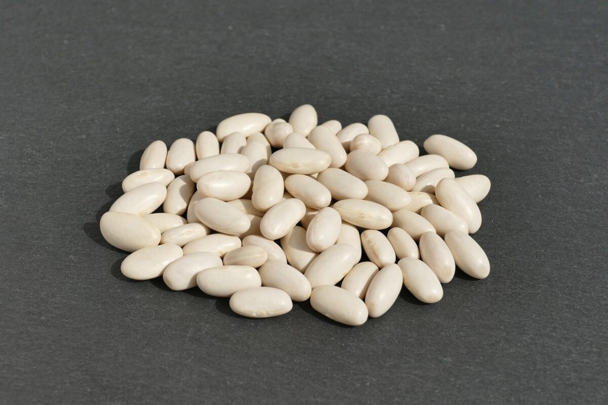 Fagioli Bianchi (Semi Maturi, in Scatola)