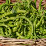 Fagiolini (Sgocciolati, in Scatola)