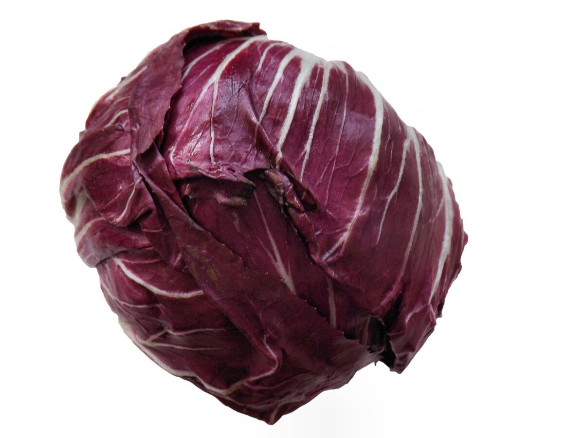 Radicchio Rosso