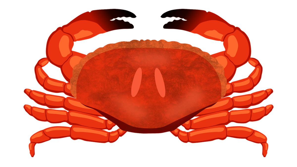 Granchio