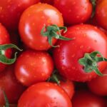 Pomodori