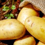Patate (Polpa, senza Sale, Bollite)