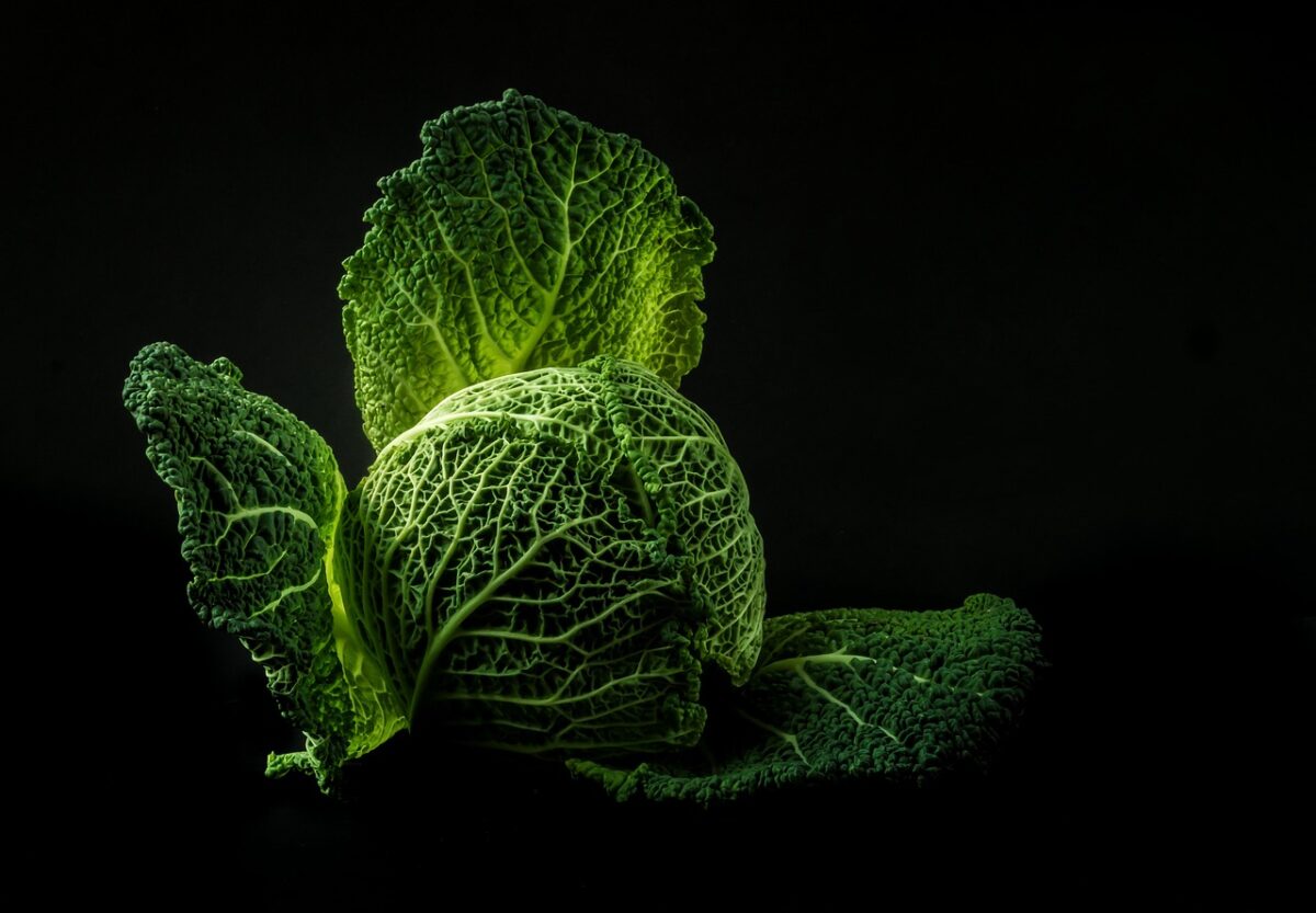 Cavolo Verde