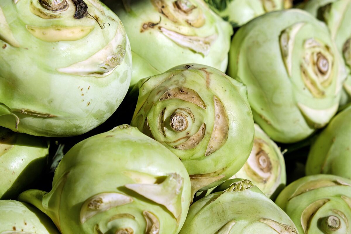 Cavolo