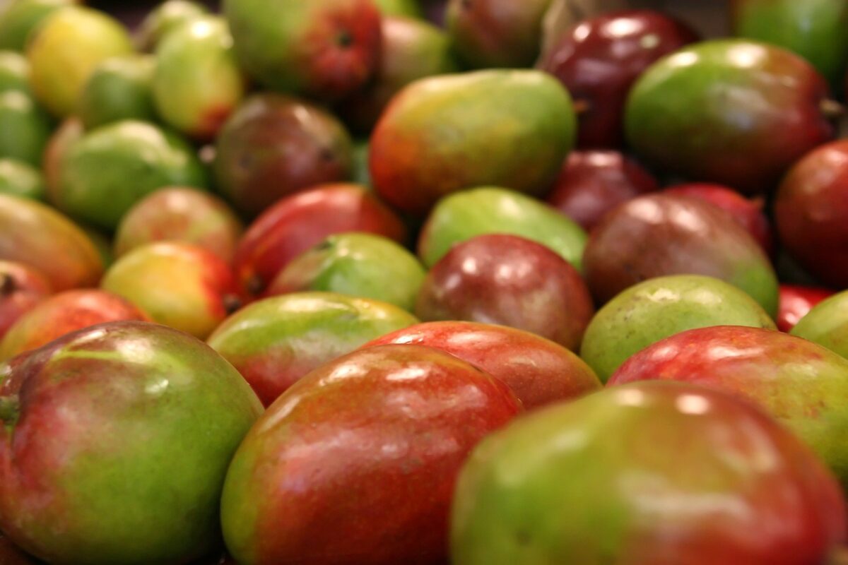 Mango Essiccato