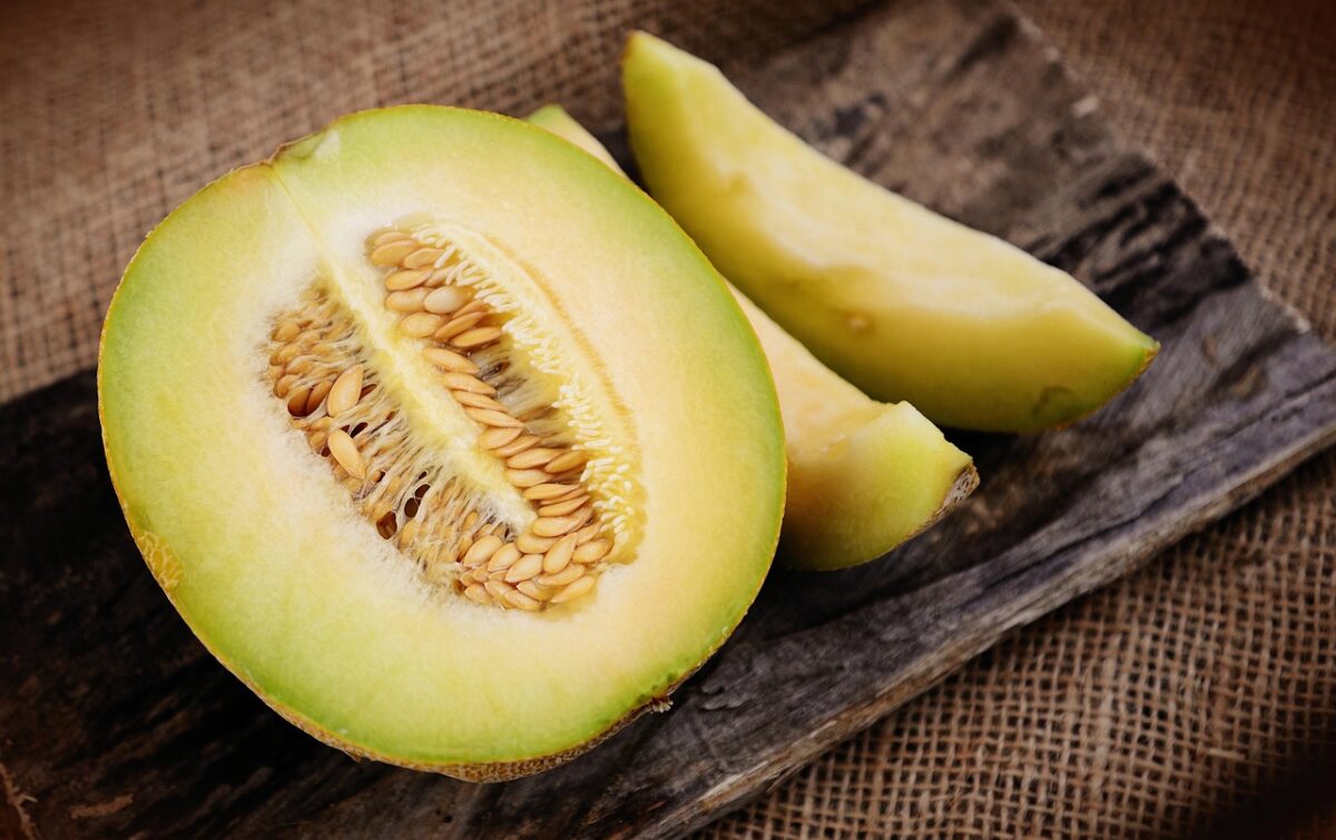 Melone