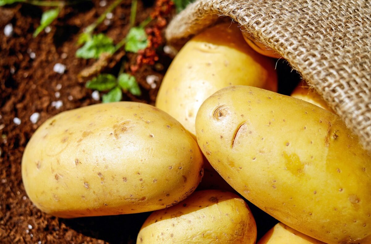 Patate Americane