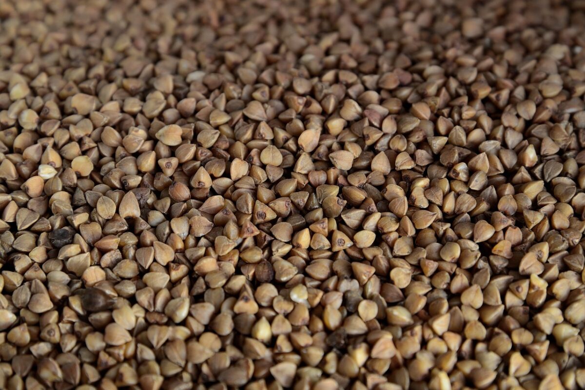 Grano Saraceno
