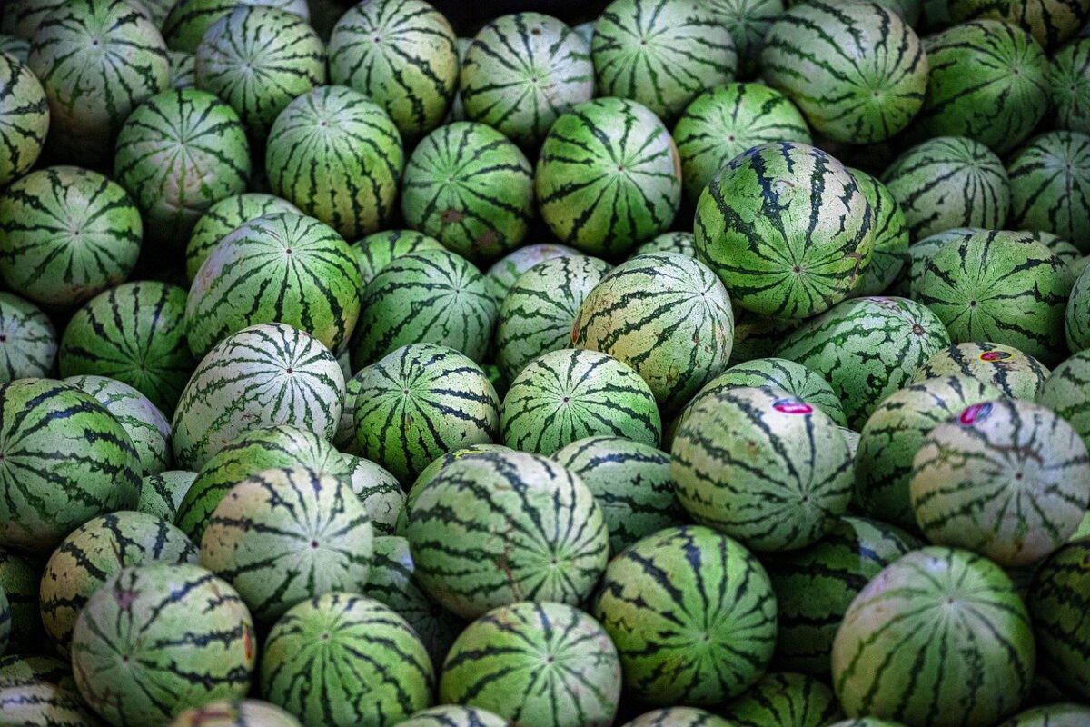 Melone Bianco