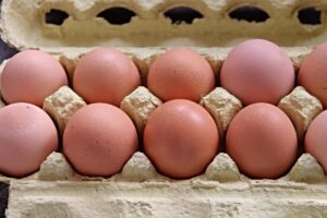 eggs, box, brown, egg box, filled, full, egg crate, chicken eggs, carton, egg carton, nourishment, open, pack design, storage, packaging, wrap up, pack, food, meal, eggs, egg box, egg carton, egg carton, egg carton, egg carton, egg carton